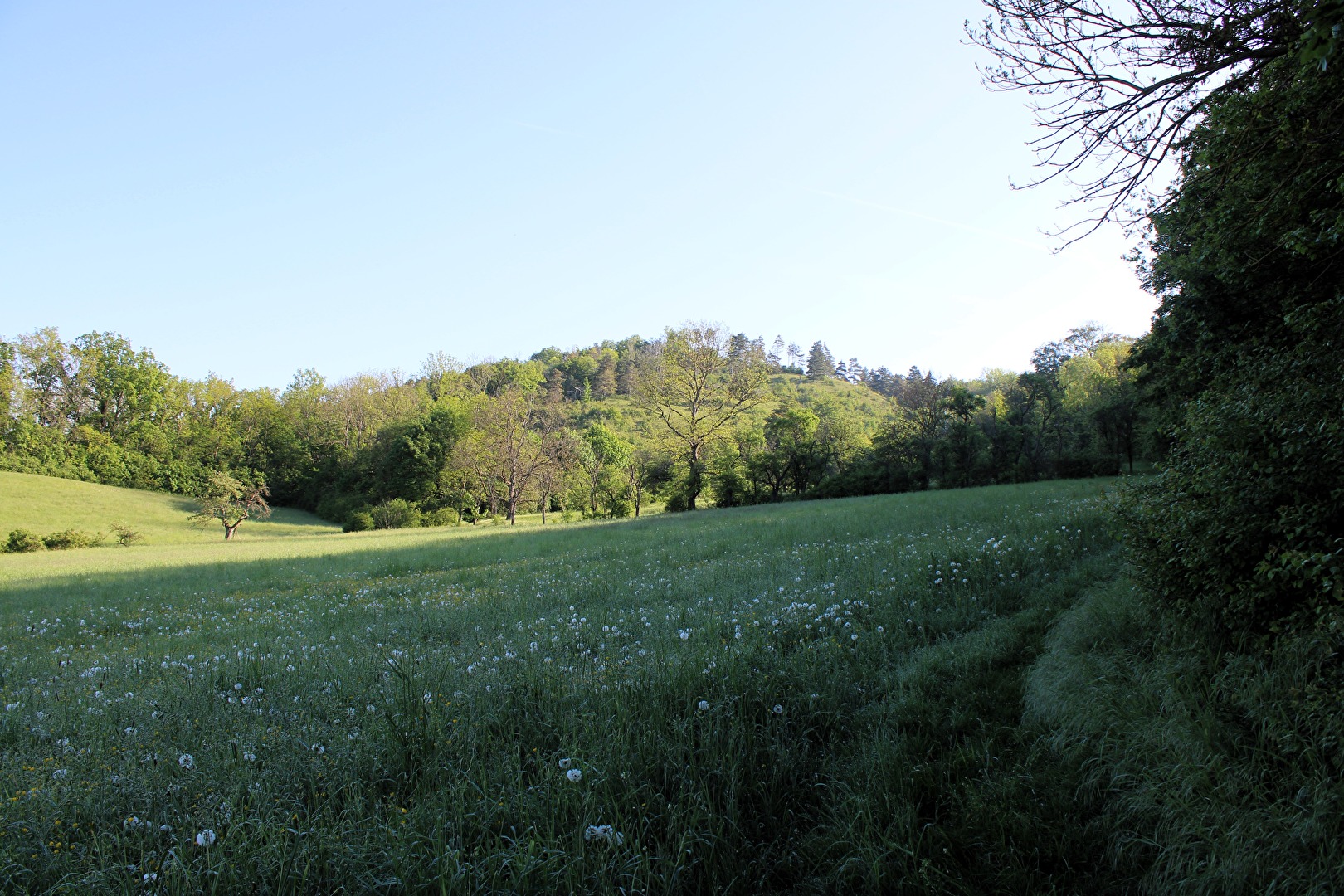 Wanderweg zum Böselstein