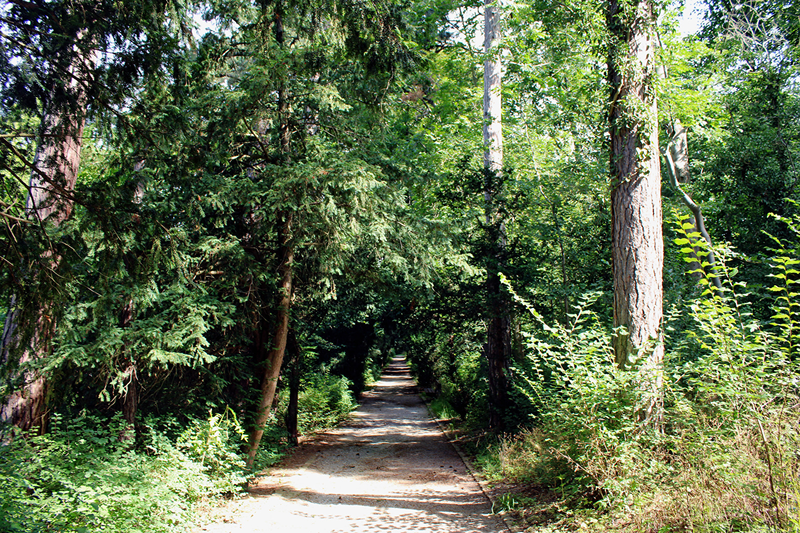 Ein Weg im Bürgergarten