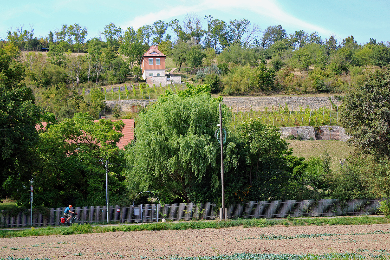 Radwanderweg unterhalb der Weinberge