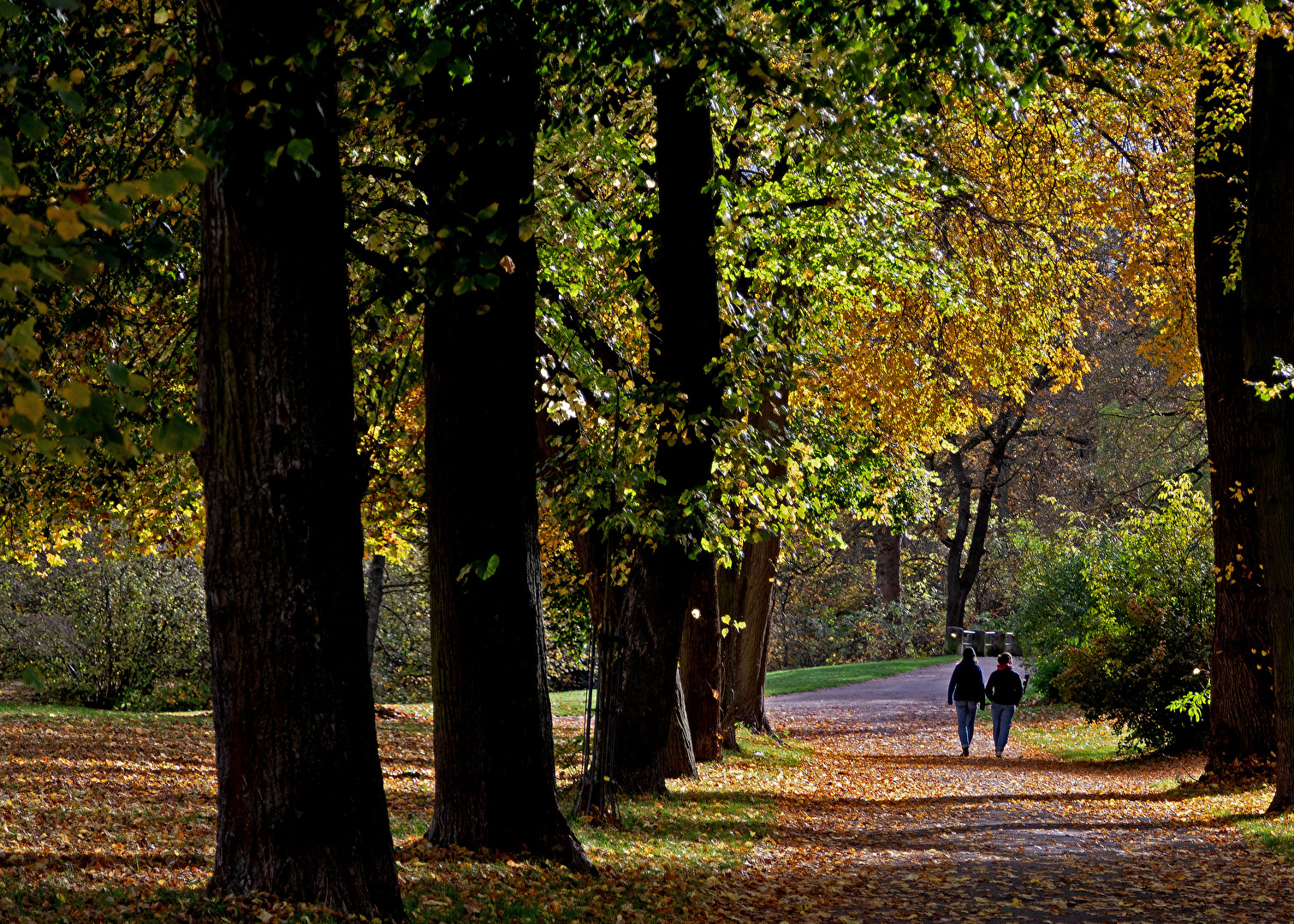 Spaziergang im Park