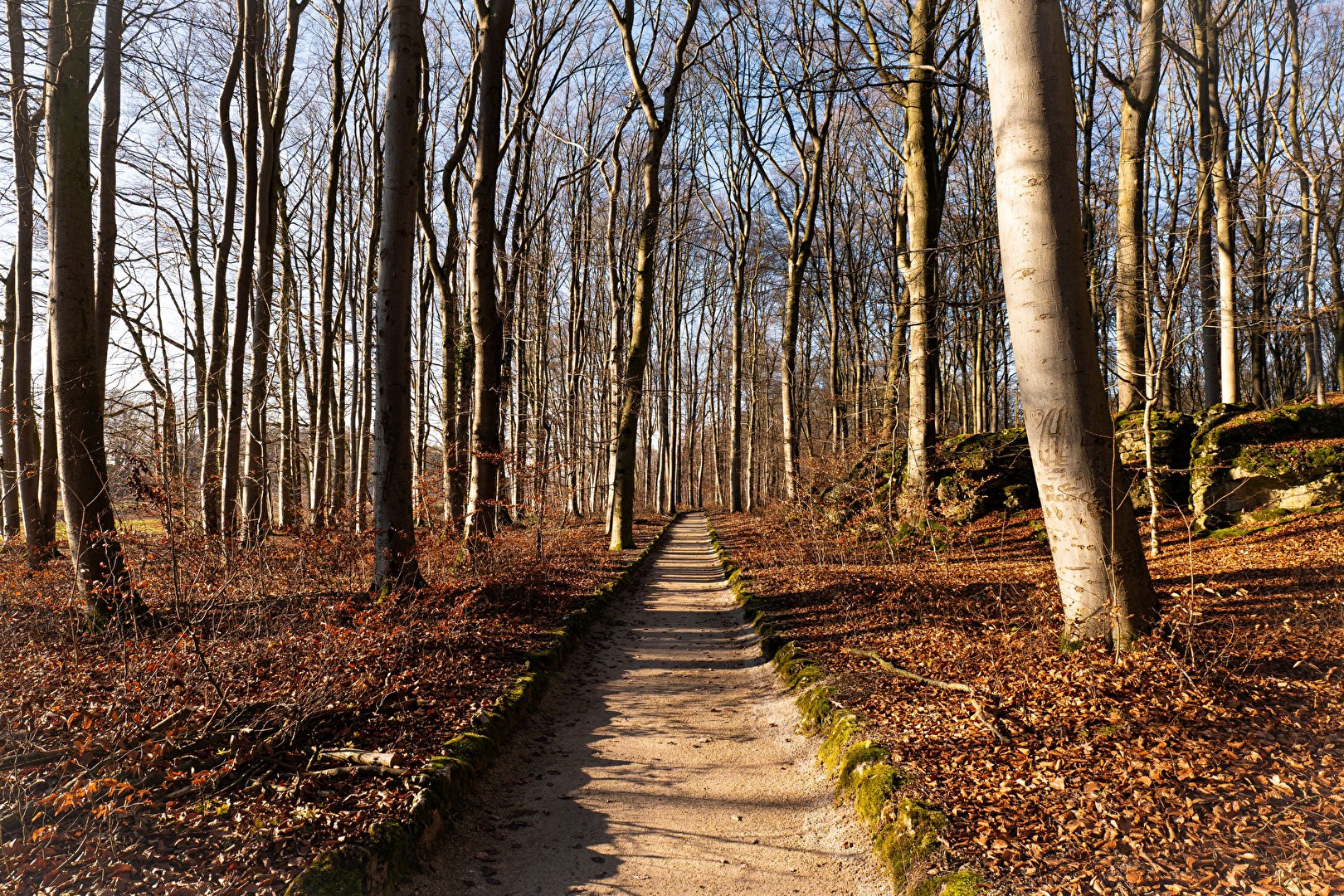 Möge der Weg...