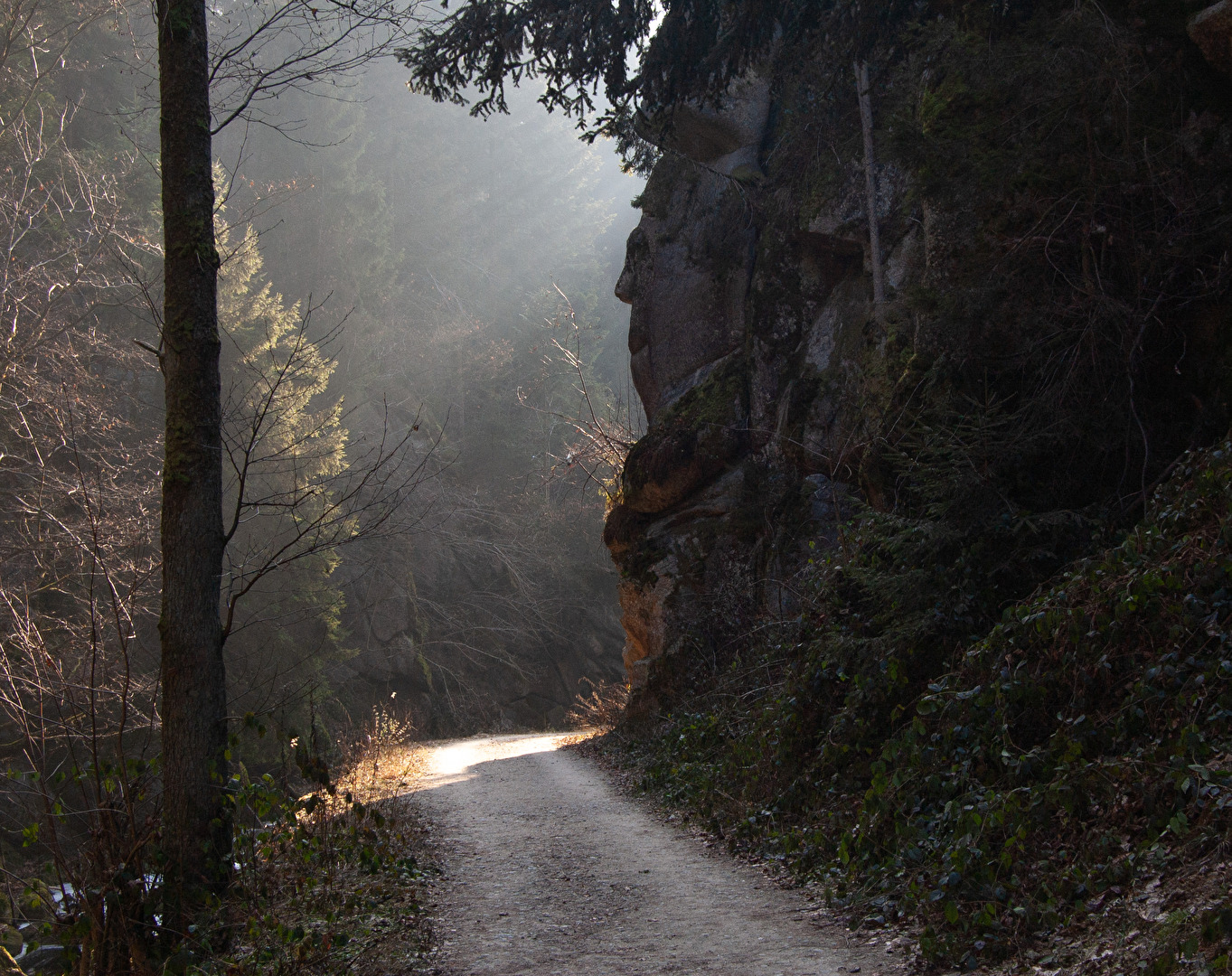 Weg ins Licht