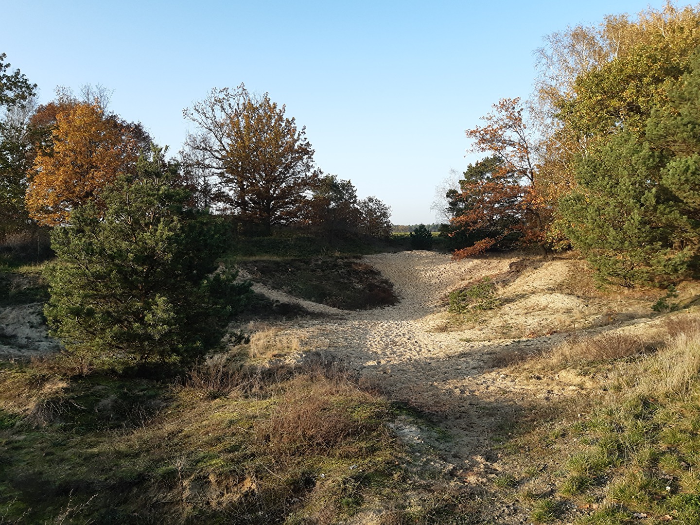 Alte Sandkuhle