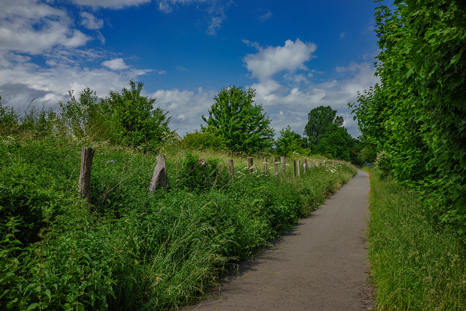 Der Weg zum Rhein...