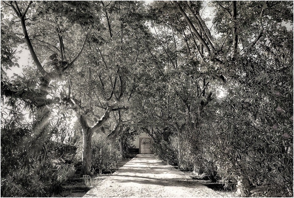 Der Weg