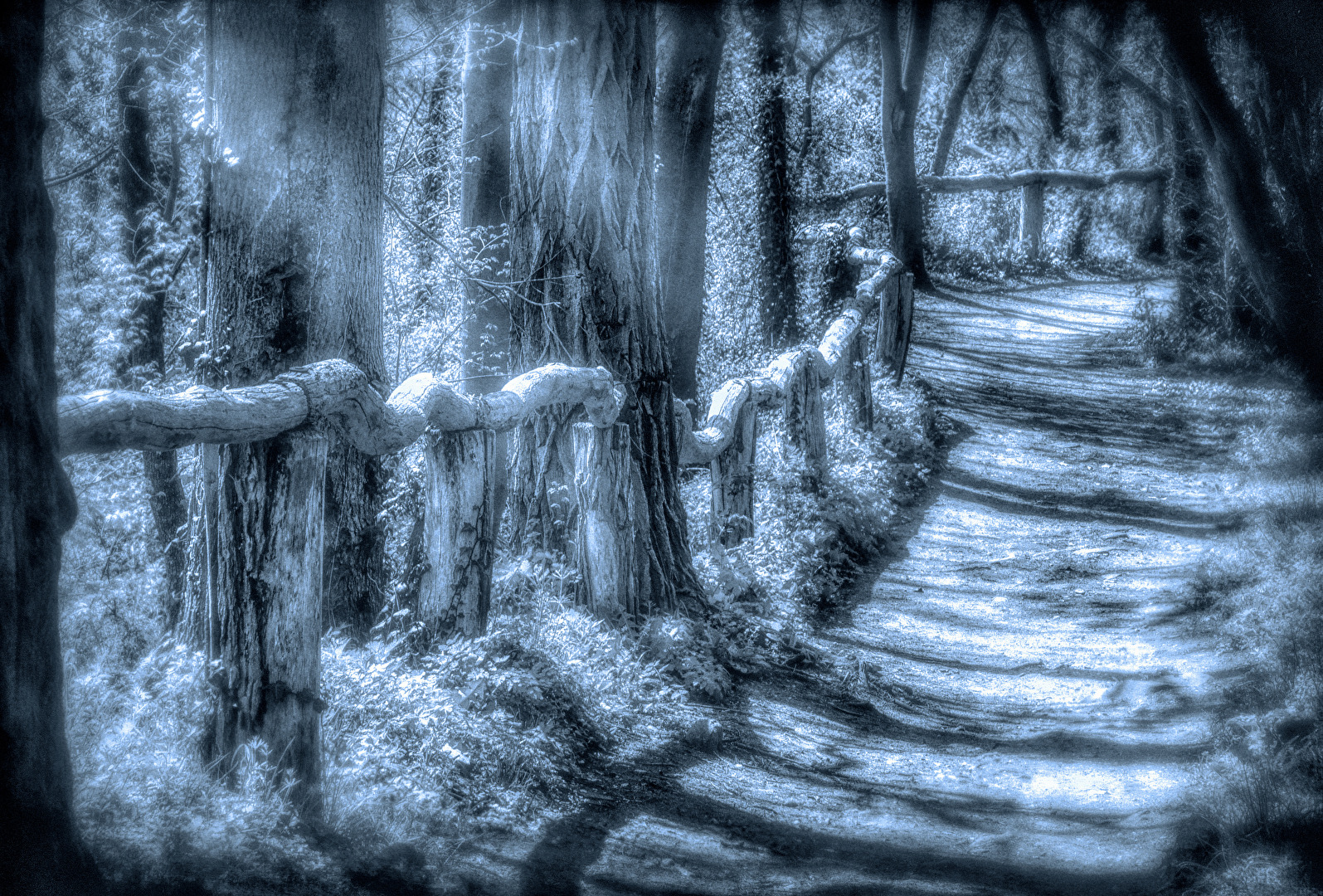 Waldweg
