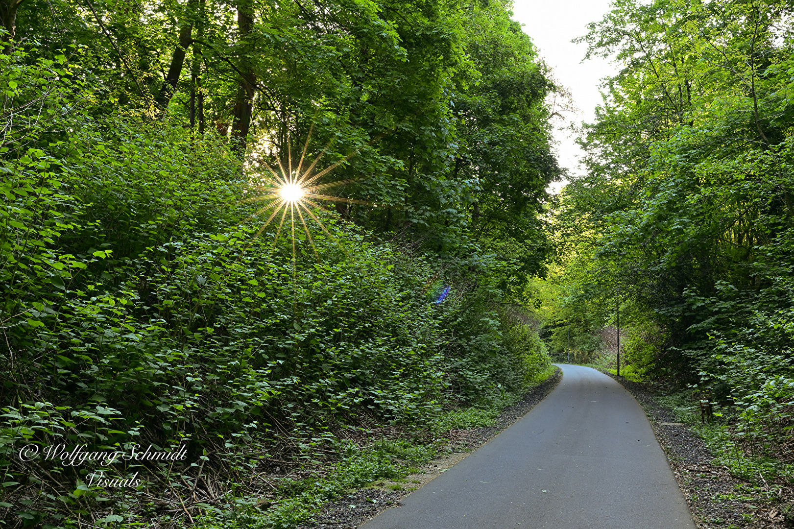 Sonnenstern am Morgen, vertreibt Kummer und Sorgen