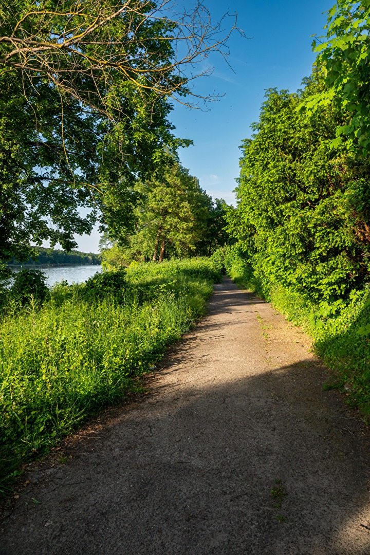 Wanderweg am Griebnitzsee