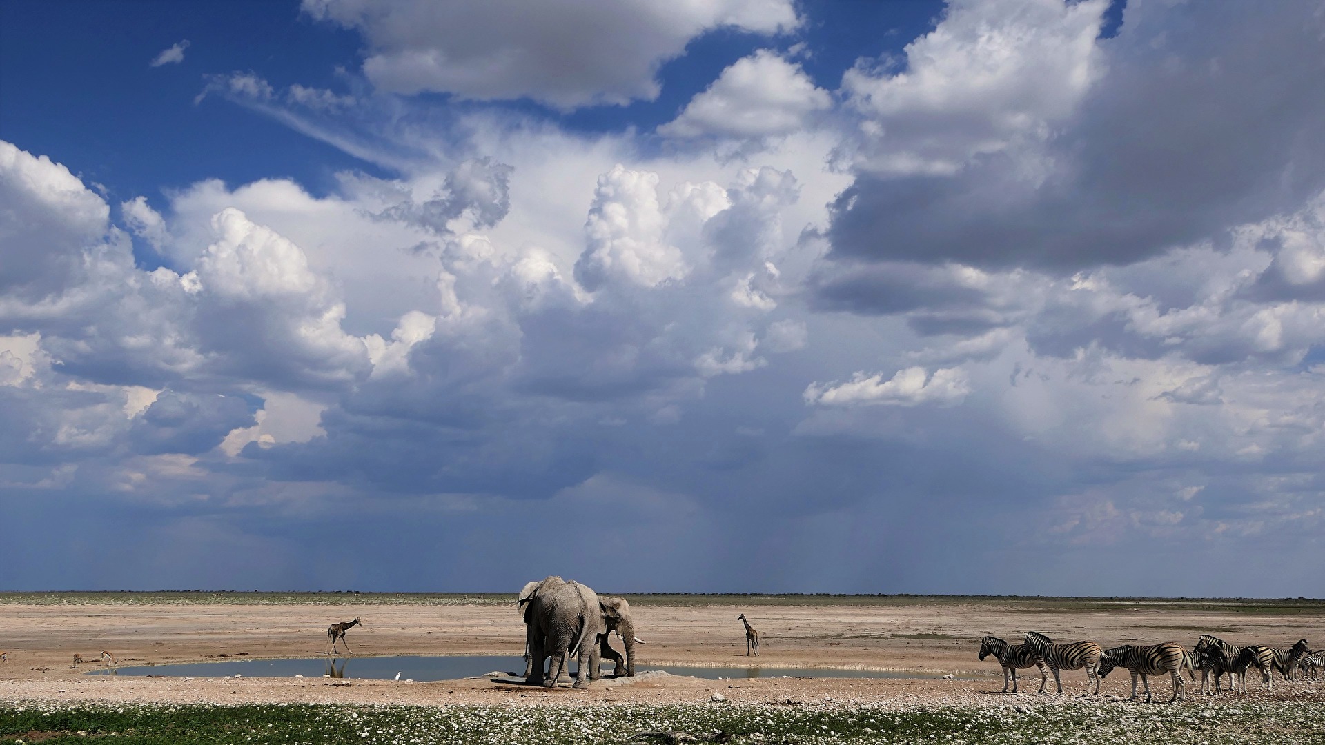 Etosha