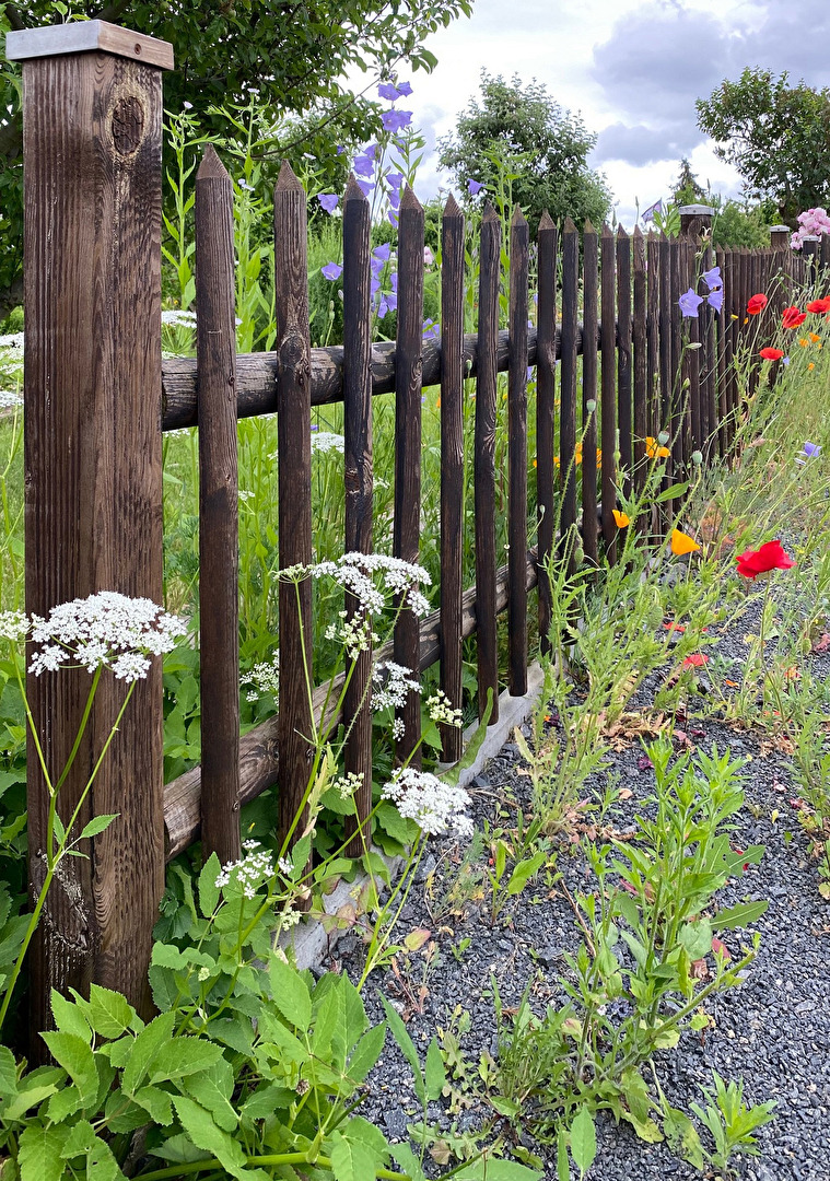 Unkraut im Gartenverein