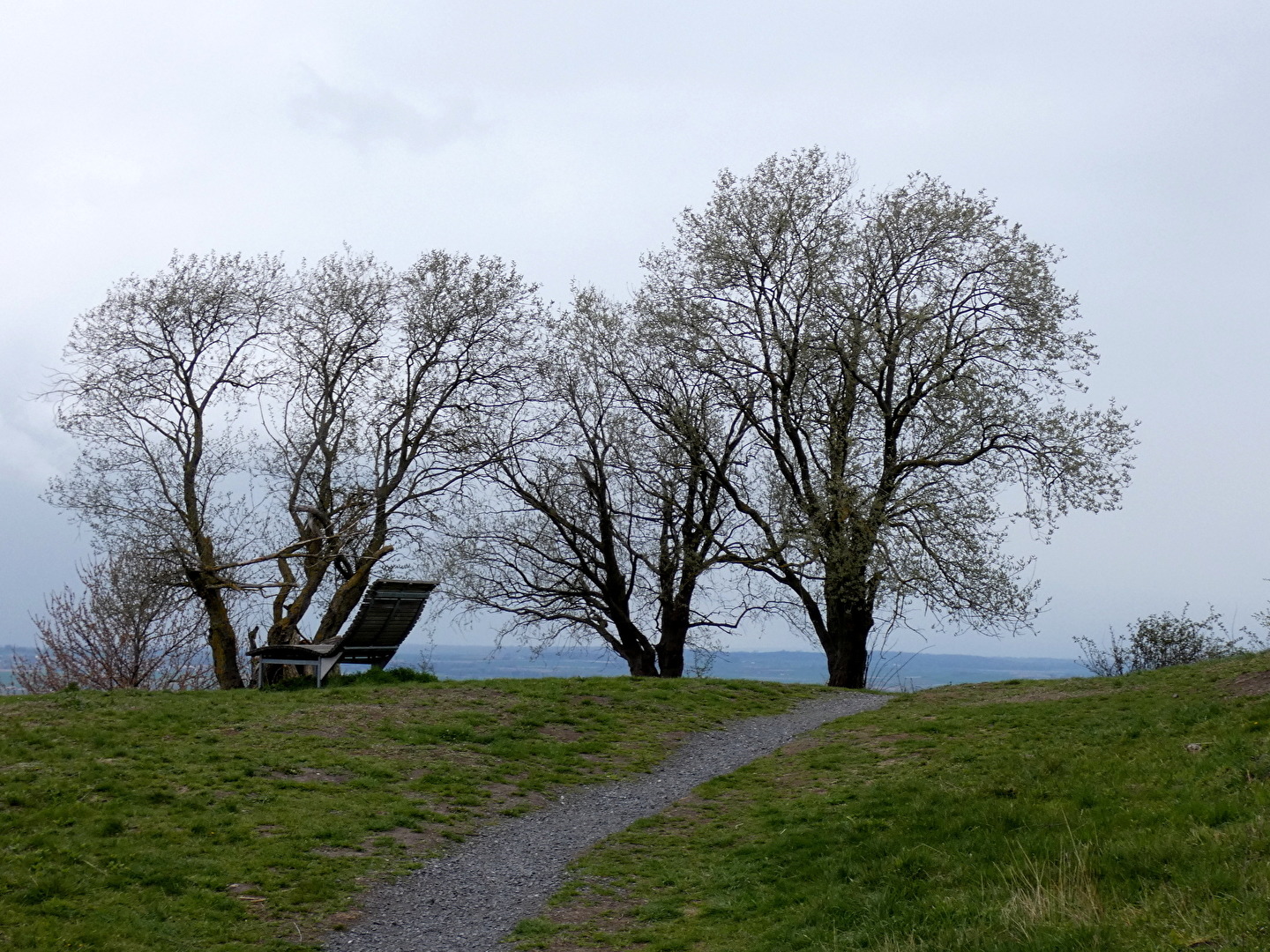 die Bank und die Bäume
