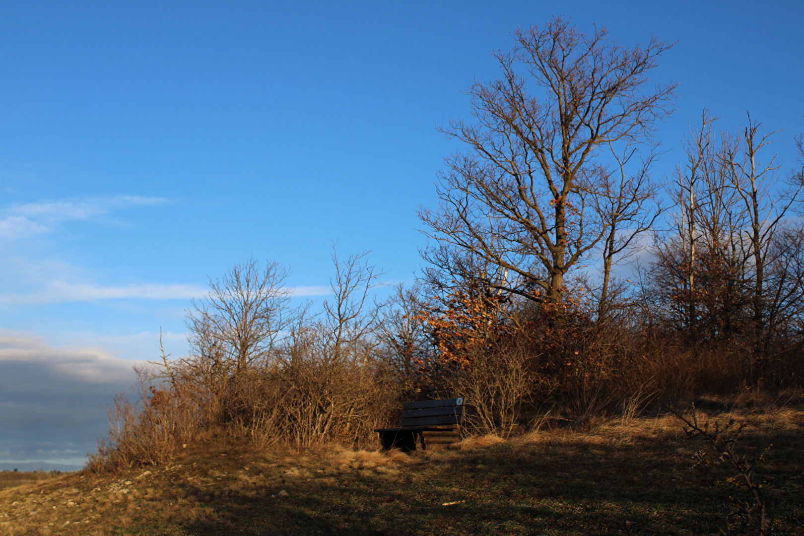 Eine Bank im Naturschutzgebiet