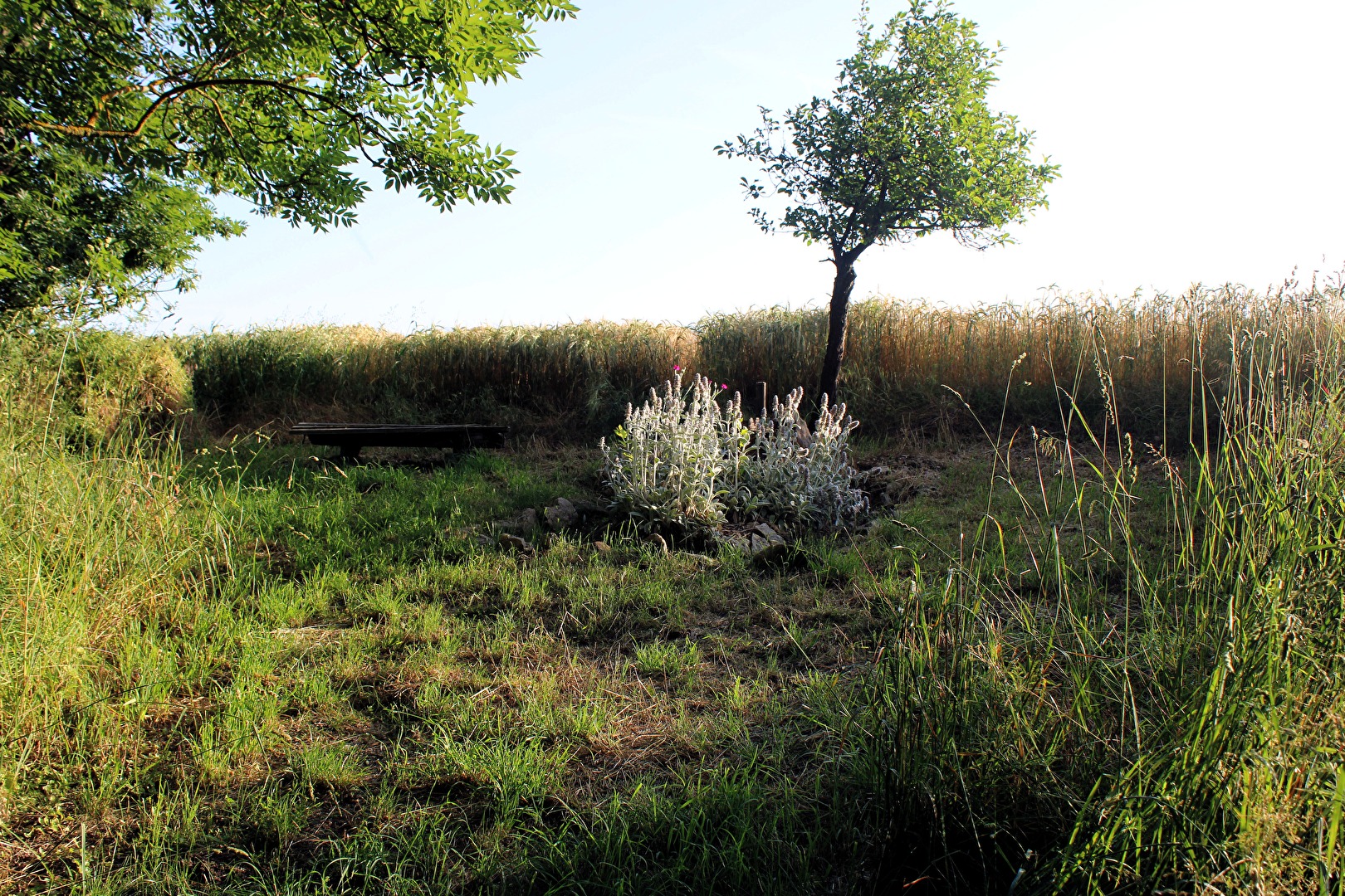 Eine Bank am Feldrand