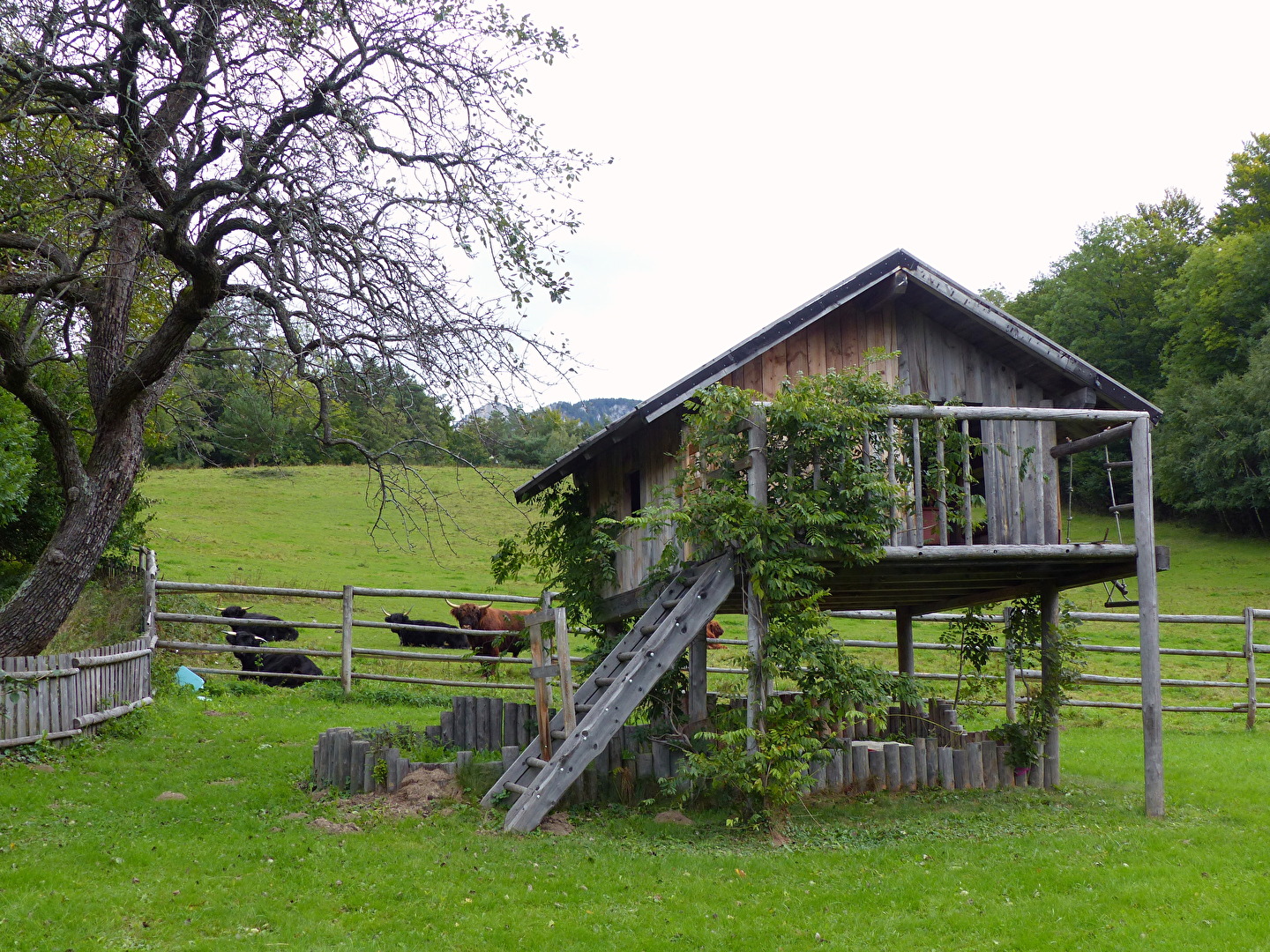 wenn es Herbst wird in den Bergen