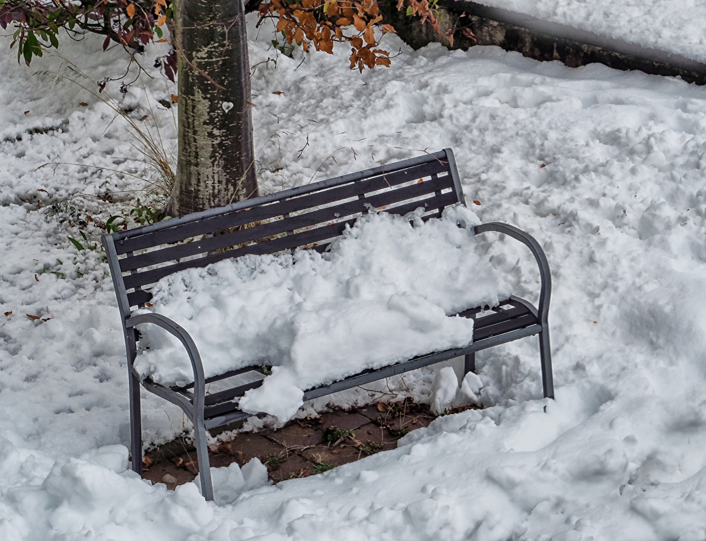 Weißt du noch , - im letzten Sommer