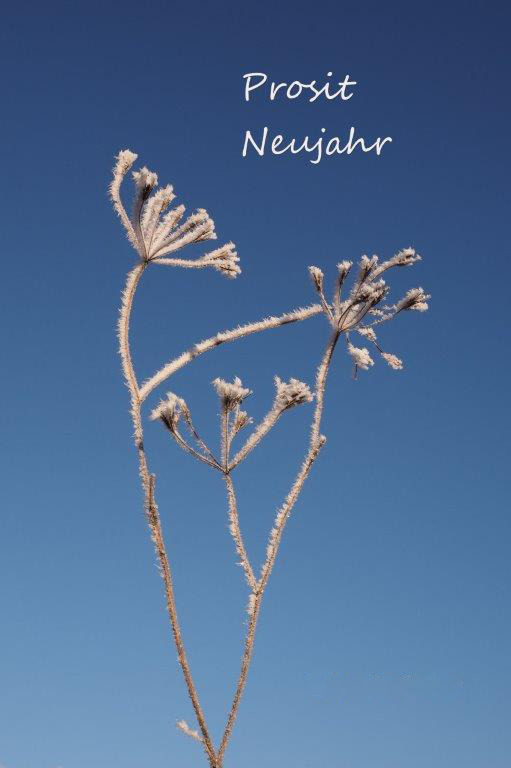 Prosit Neujahr an die Photographen