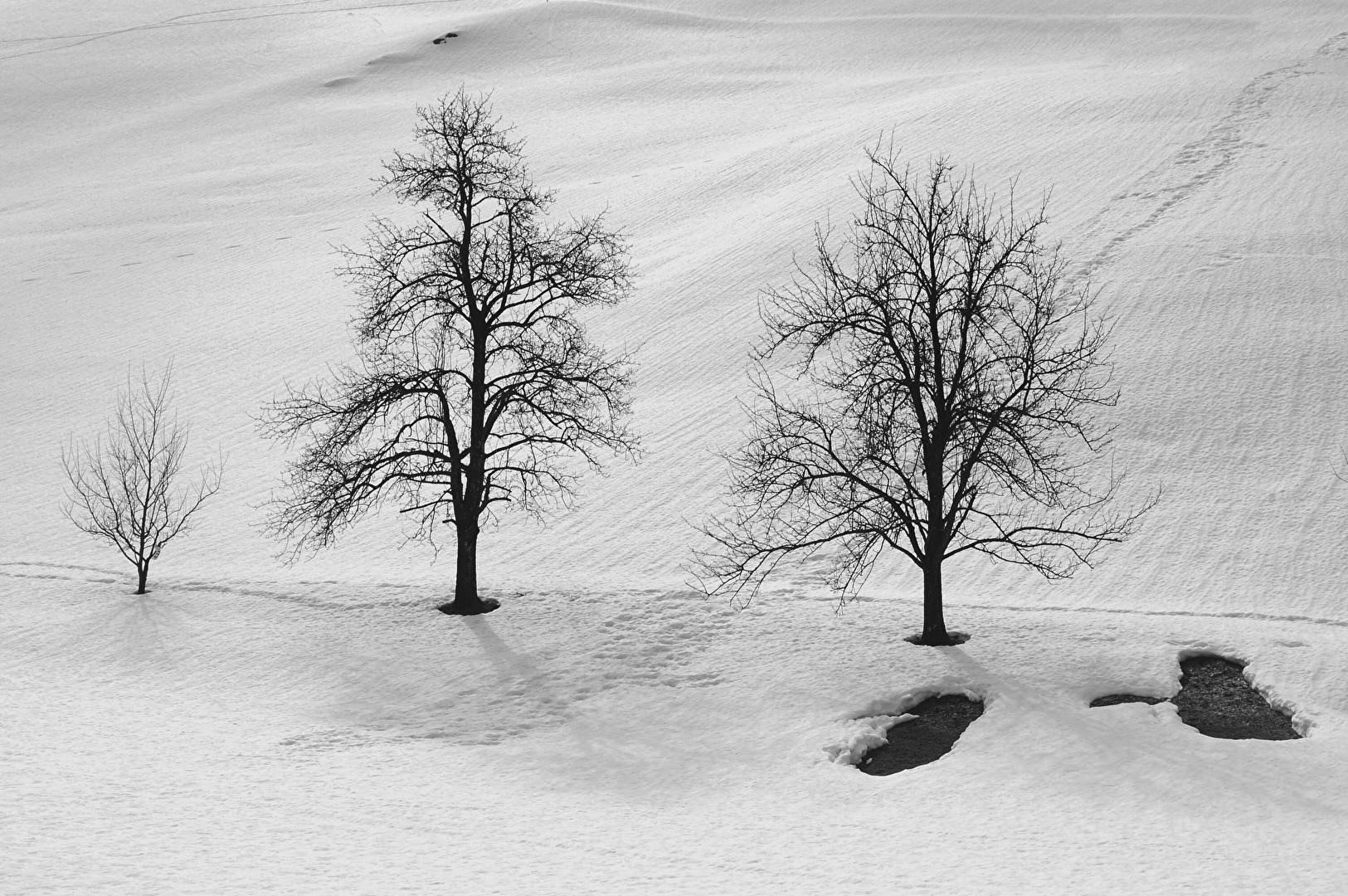 In große Fußstapfen treten