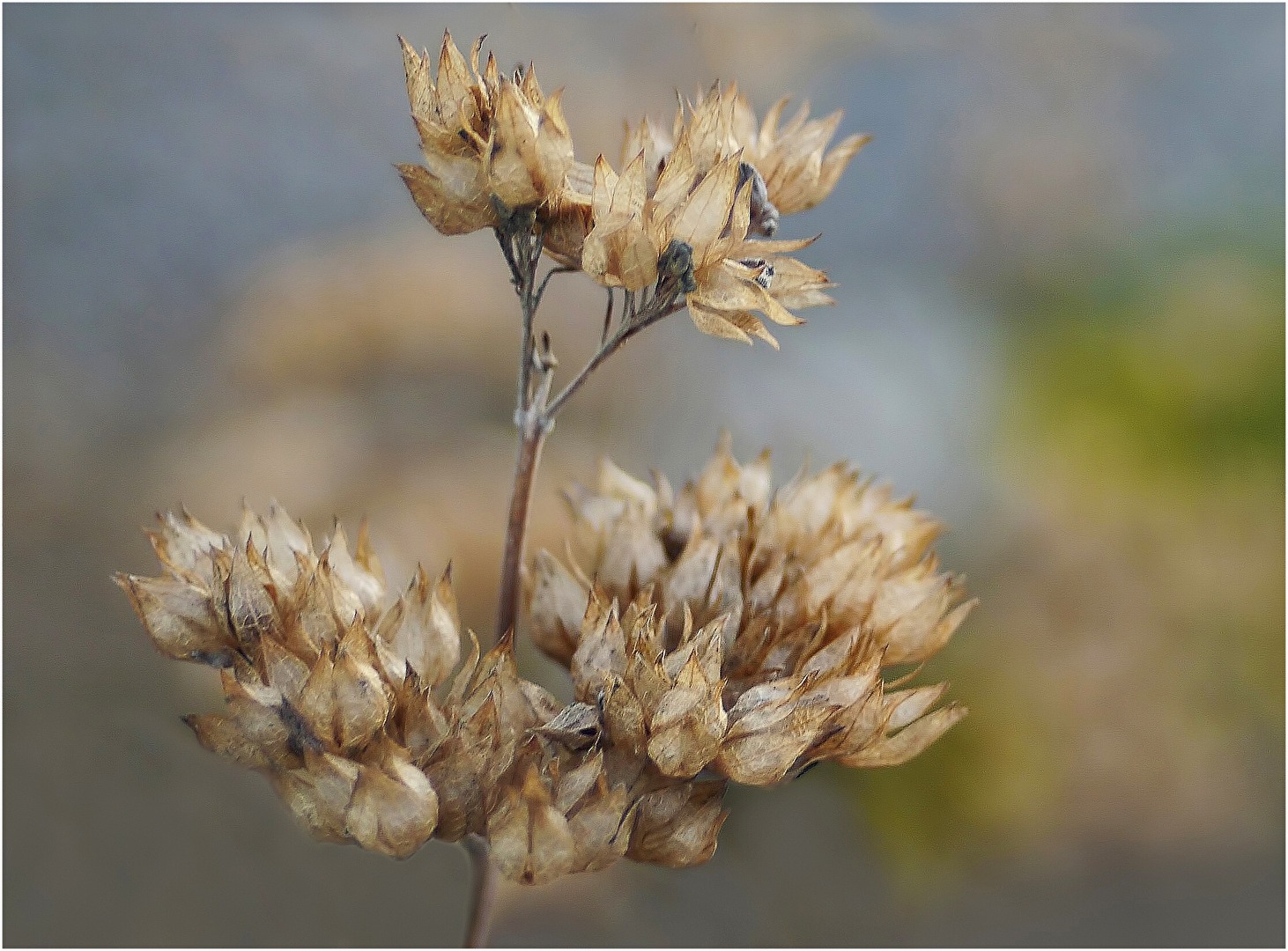 Ein freundlicher Wintertag