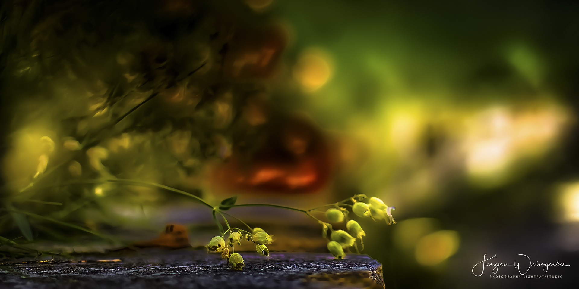 Im Klostergarten Siessen