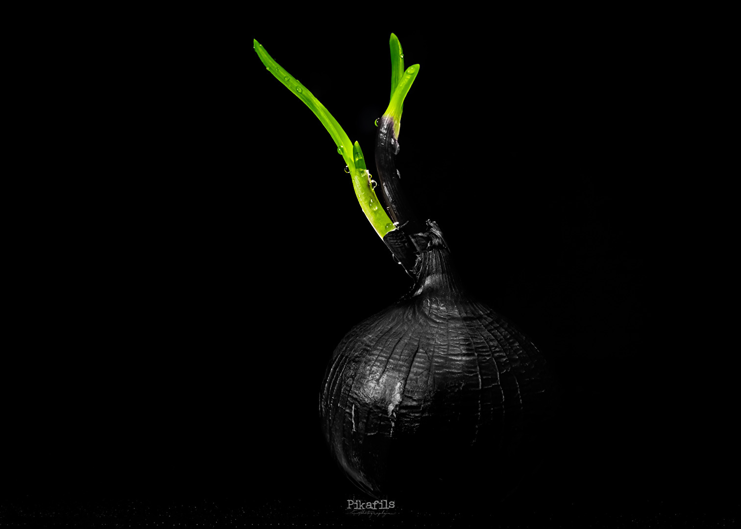 The Germination
