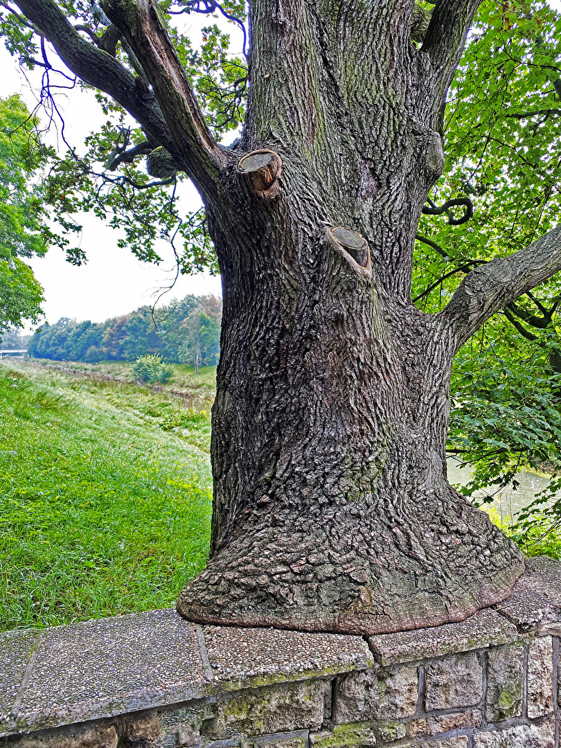 erstmal ein bisschen hinsetzen...