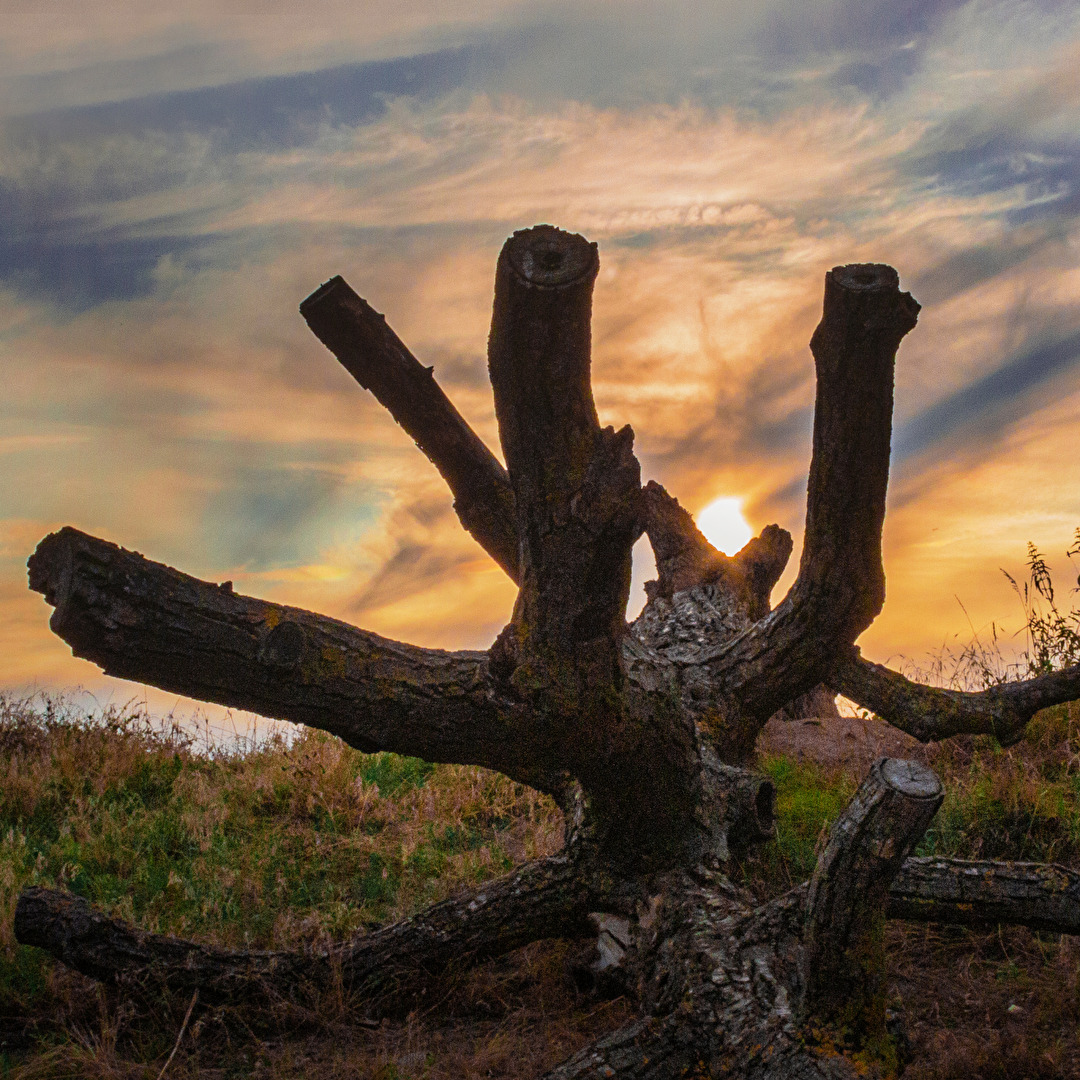 Ein Sonnenuntergang (2019)