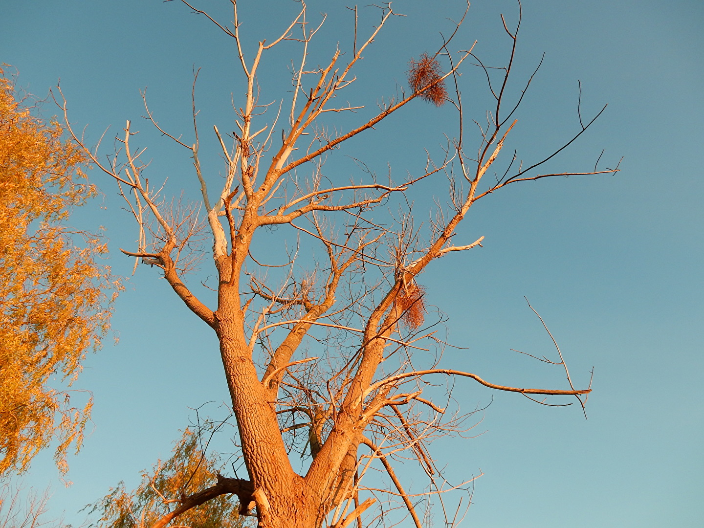 von der Sonne angestrahlt