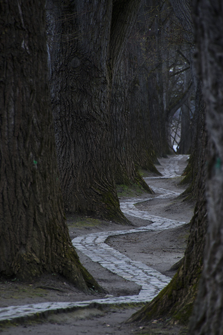 Laubbäume