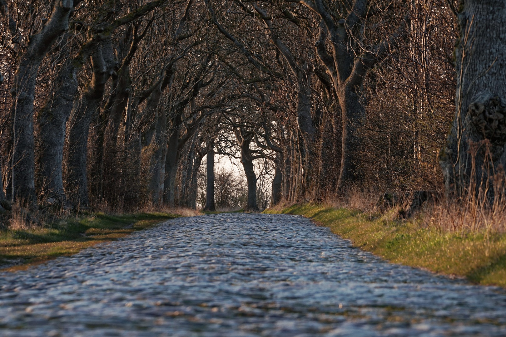 Tunnelblick