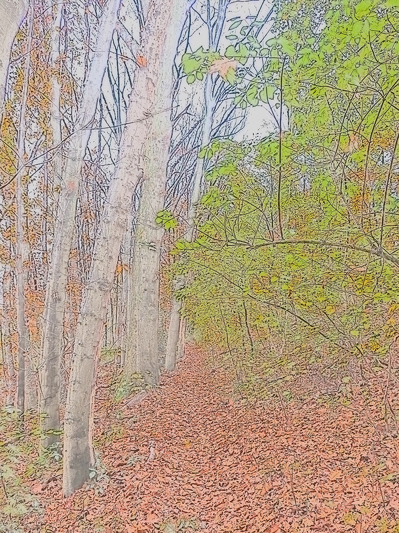 Wald im Herbstkleid (Kamerafilter - Aquarelleffekt)