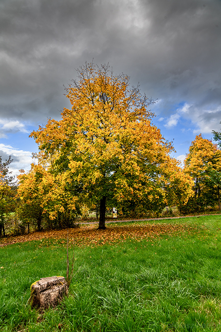 Der "Goldene Oktober" ist bald vorbei.