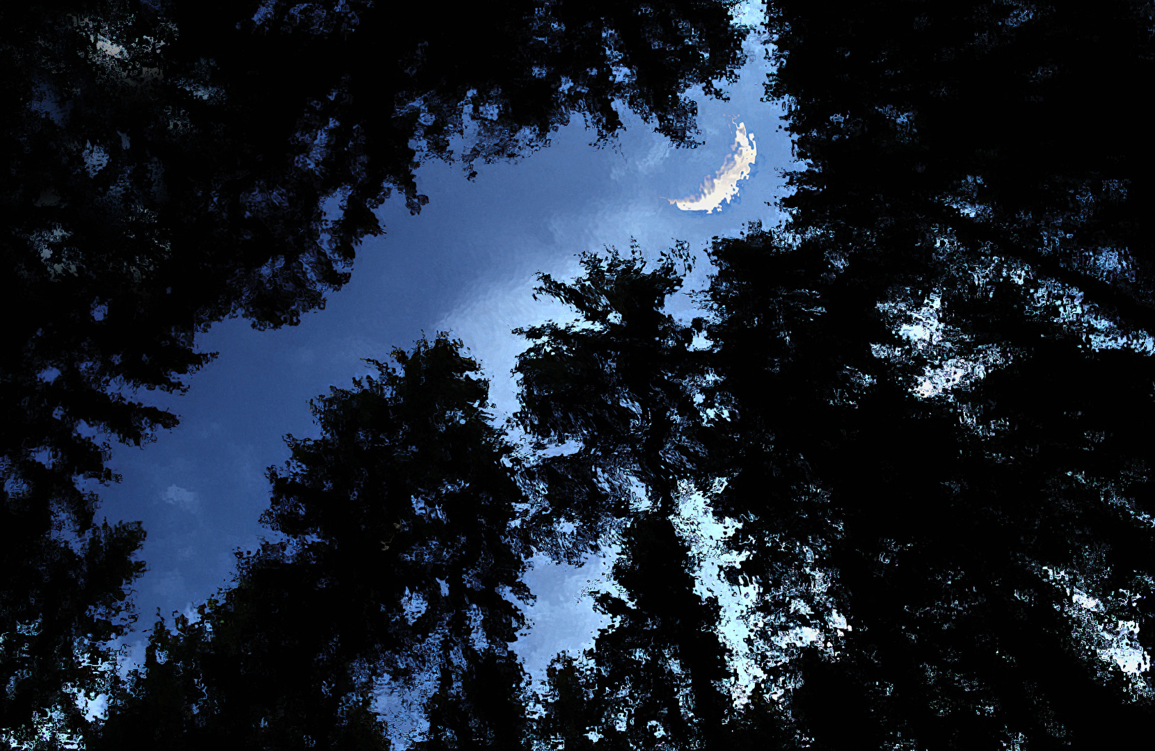 BLAUE STUNDE