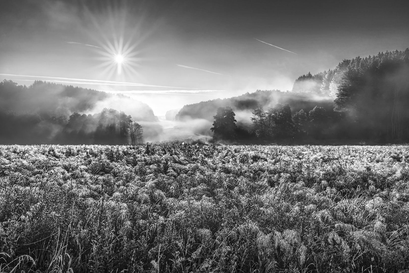 Sonne und Nebel