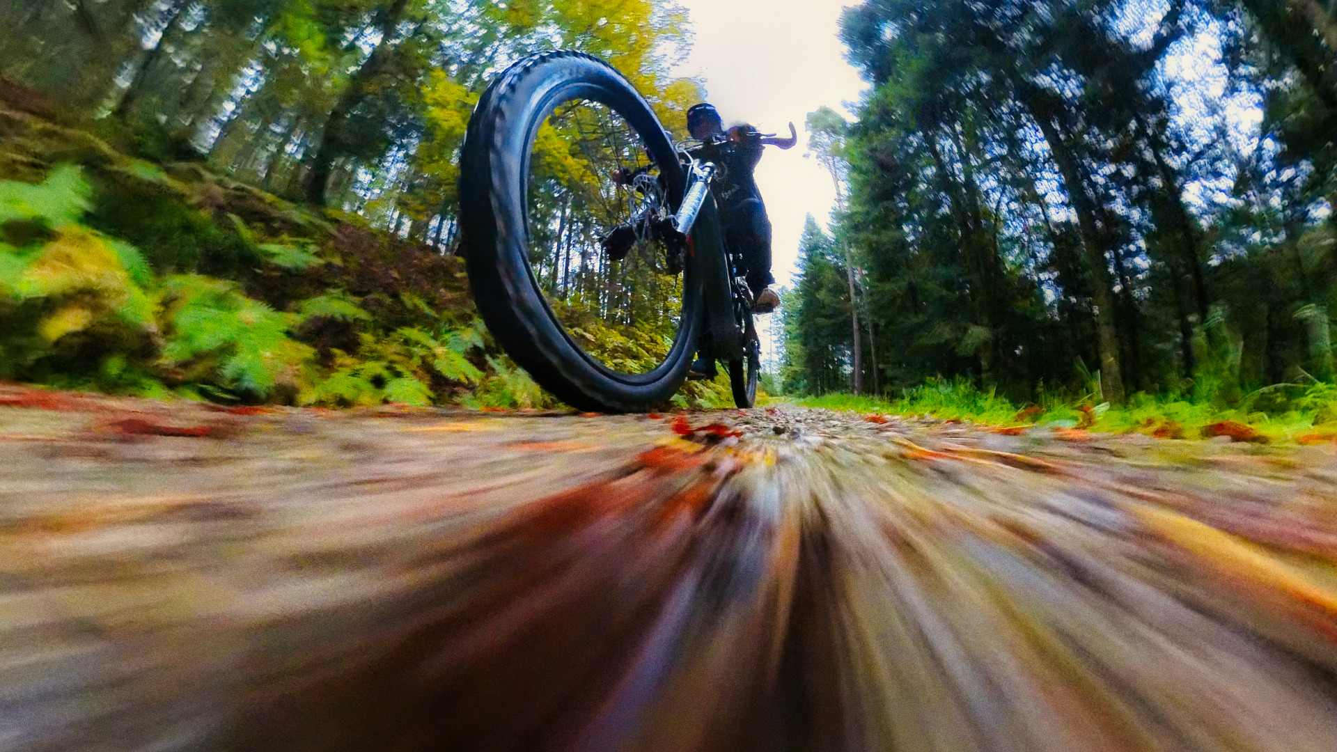 Rubrik "Missglückte Fotos"