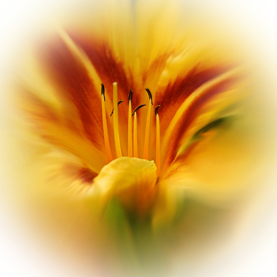 Die Verschmelzung...