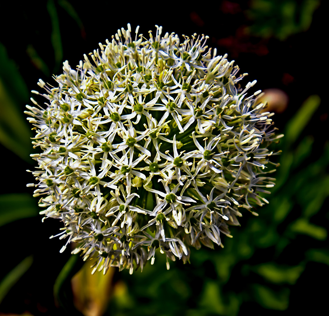 Kugel