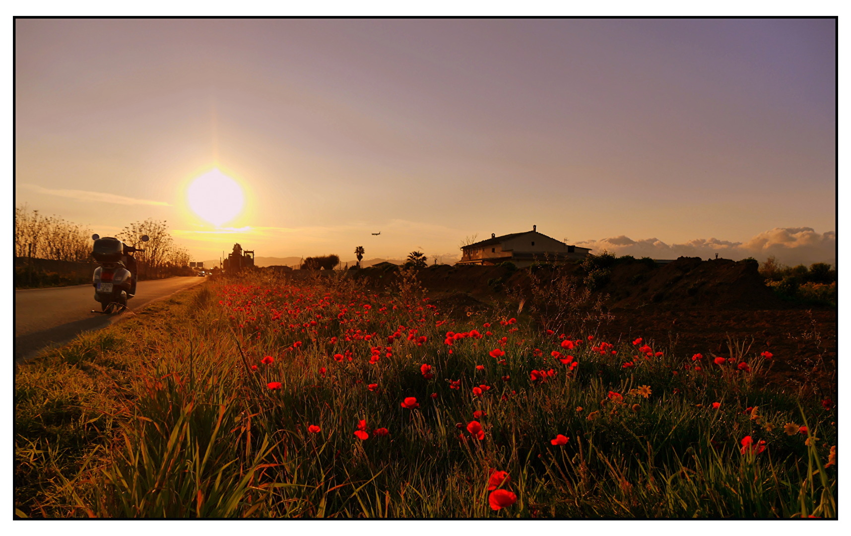 Sundowner