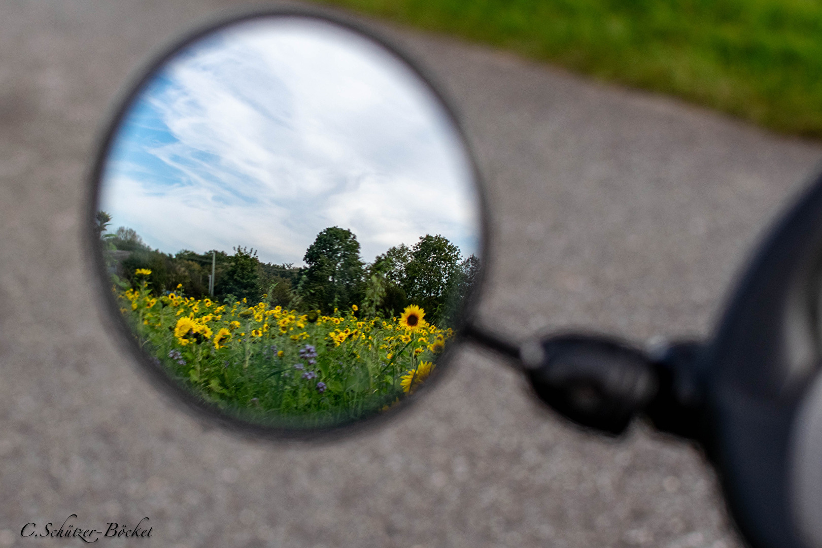 Sonnenblumen gespiegelt