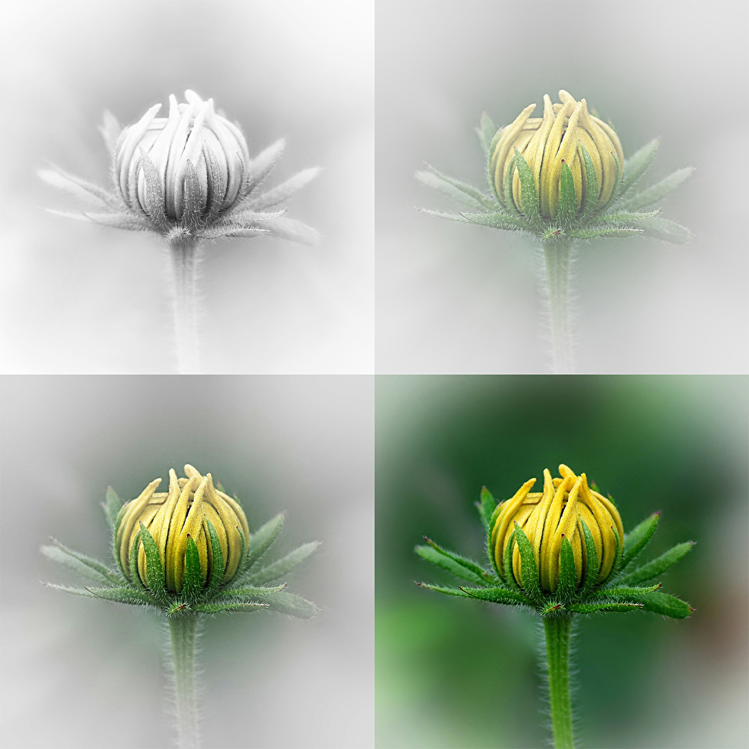 Farbe: ja oder nein?