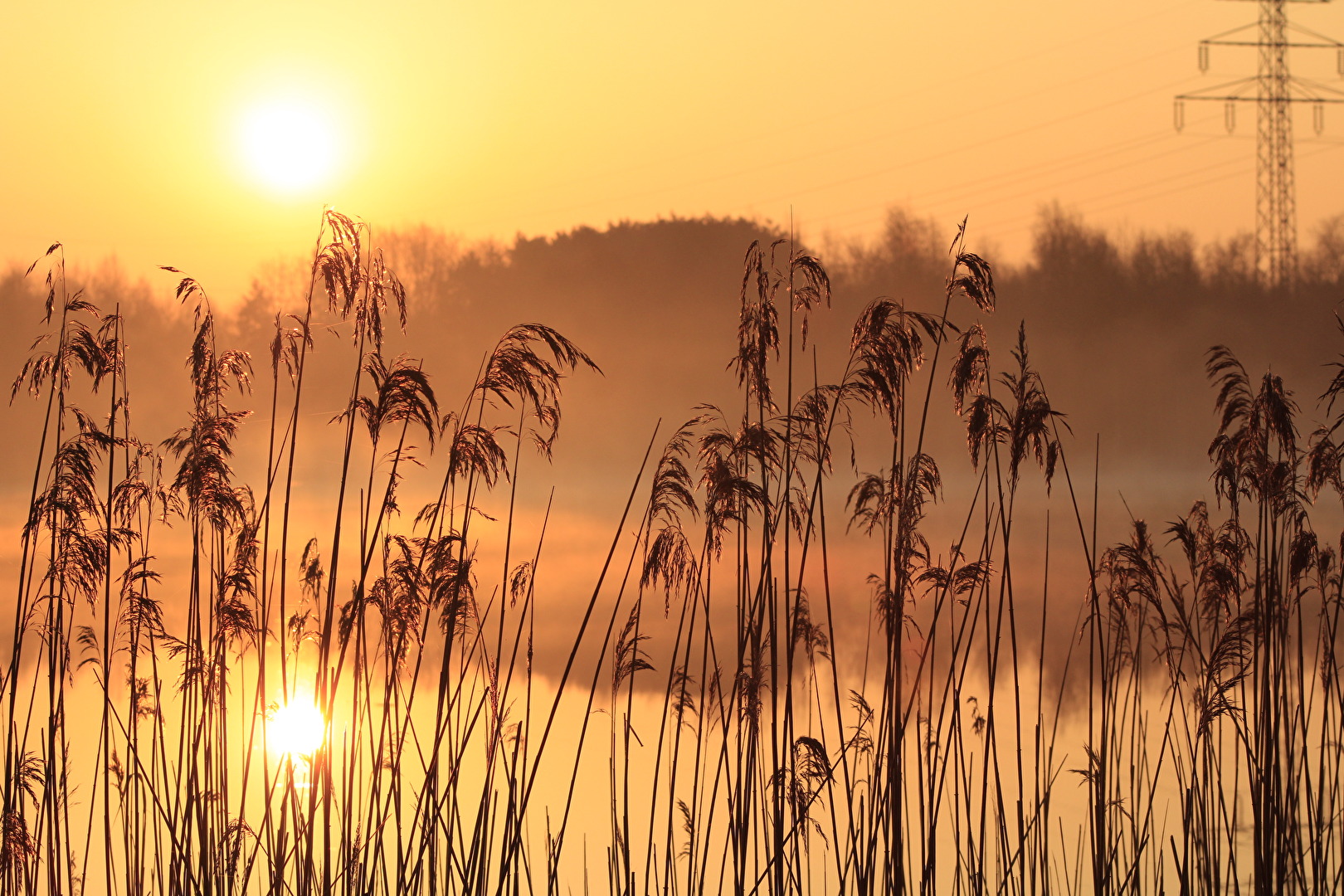 Um 6 Uhr am See