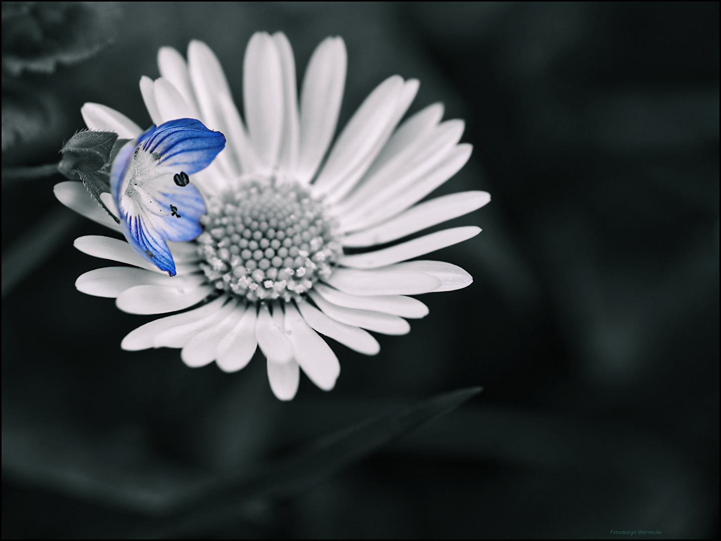 blau trifft auf grau