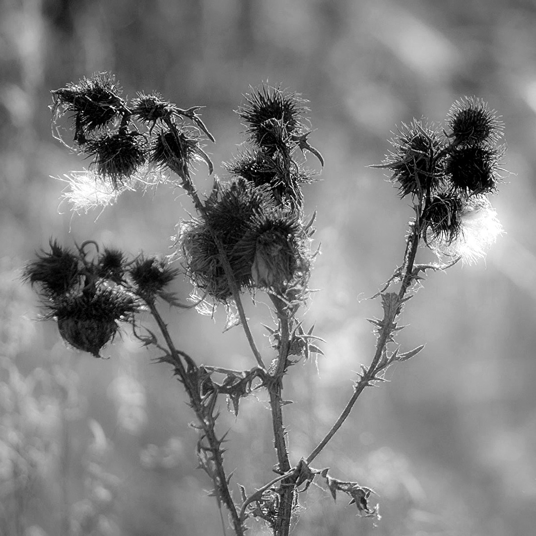 In den letzten Zügen...