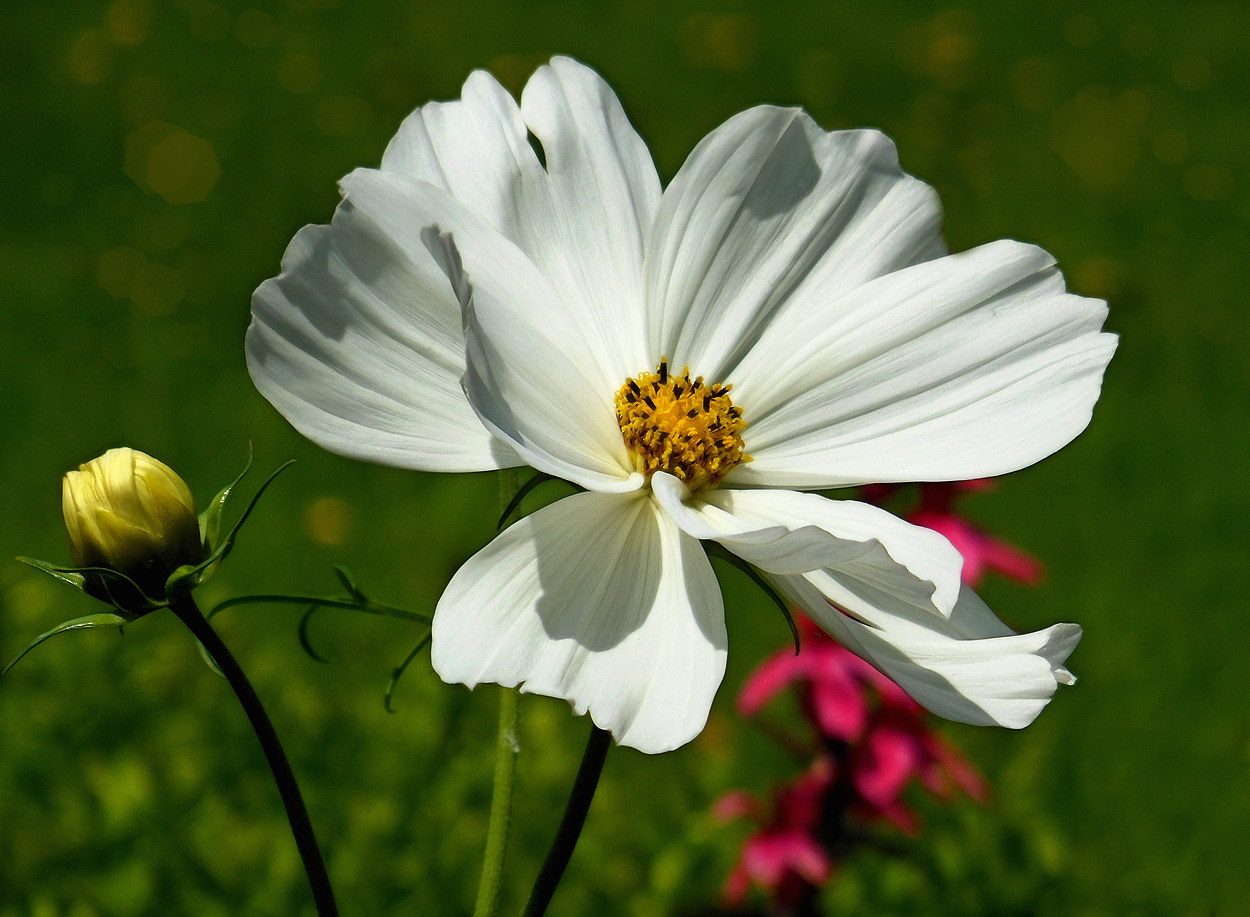 mal wieder Unbekannt