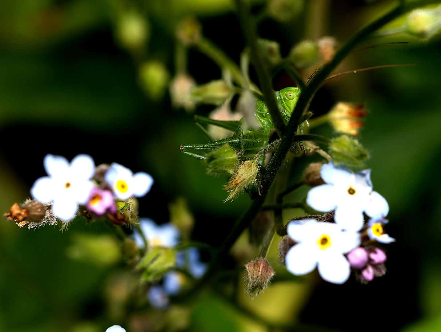 Verstecken lohnt sich nicht