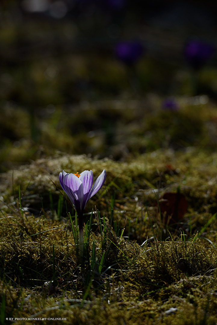 Nicht schon wieder . . .