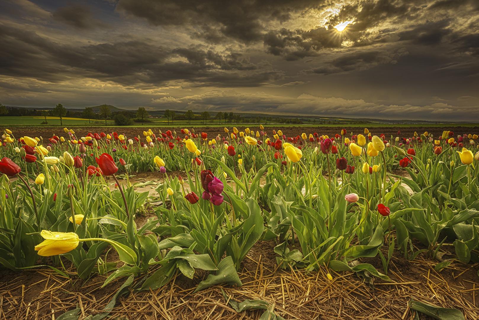 Bewölkt mit Schauerneigung II