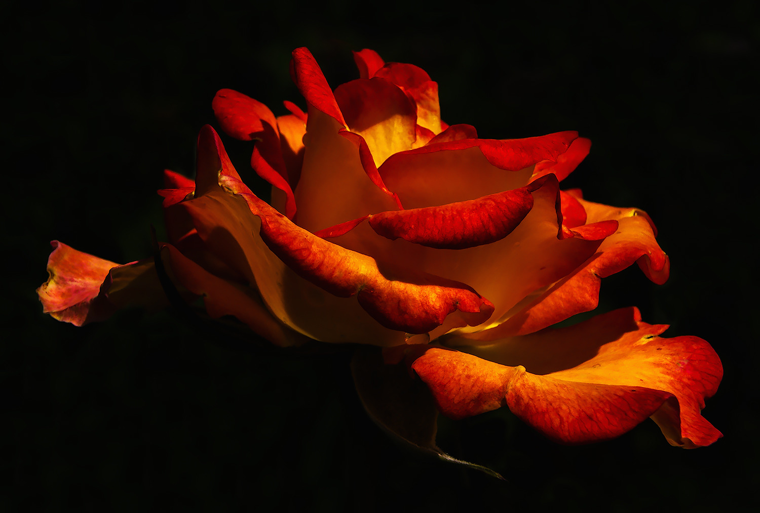 Eine wie Feuer und Flamme