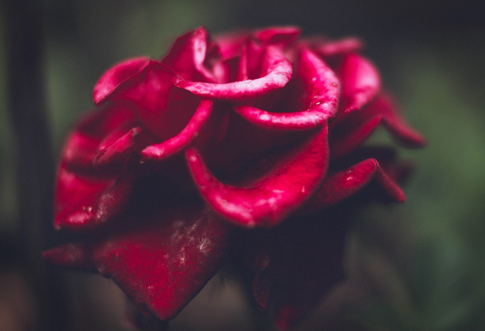 Wünsche allen einen schönen Sonntag.