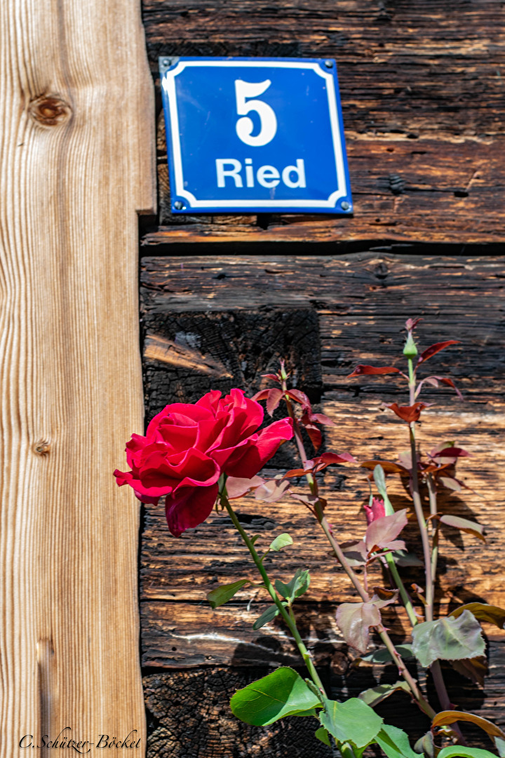 An der Hauswand