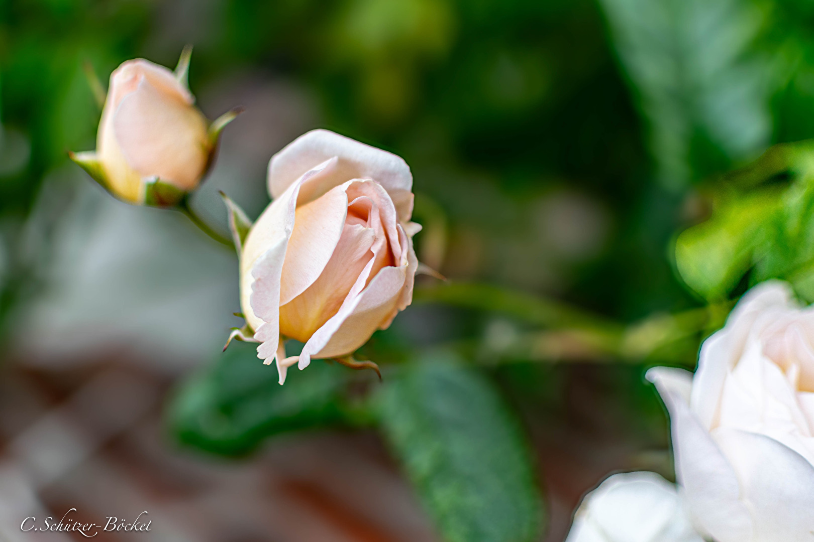 Vor einem verlassenen Haus